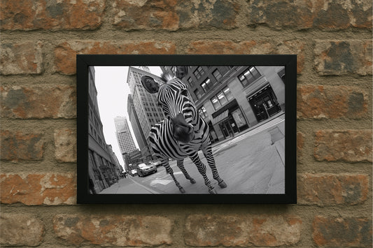 “Urban Zebra – Surreal City Frame” 🦓🏙️