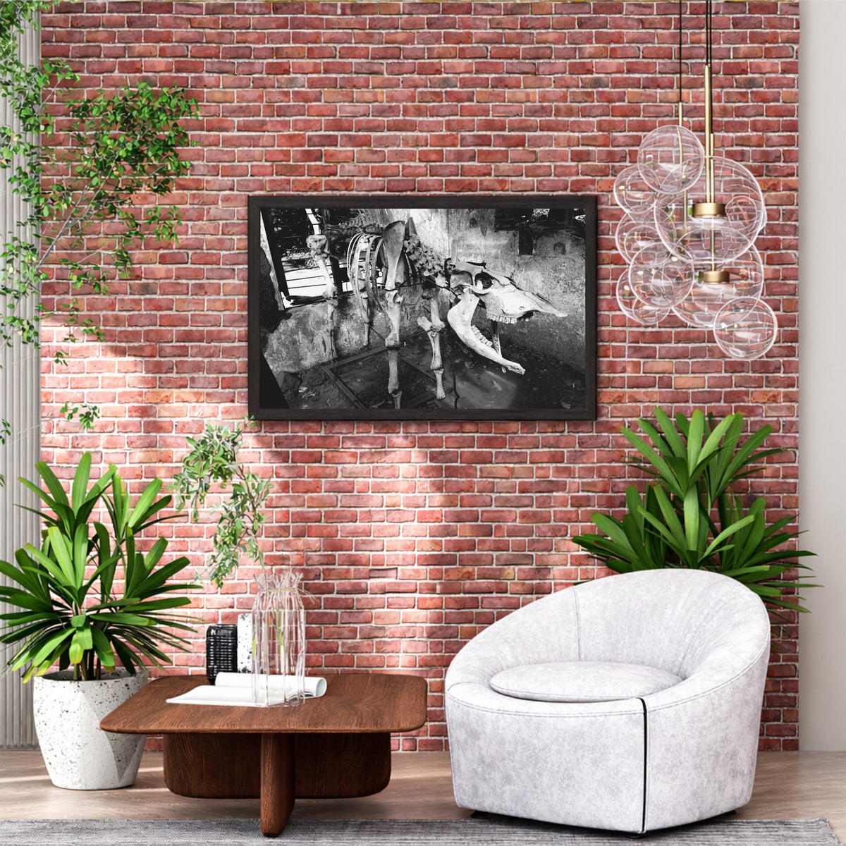 Animal Skeleton Black & White Wall Art | Wildlife Photography