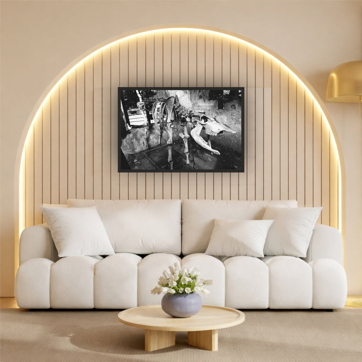 Animal Skeleton Black & White Wall Art | Wildlife Photography