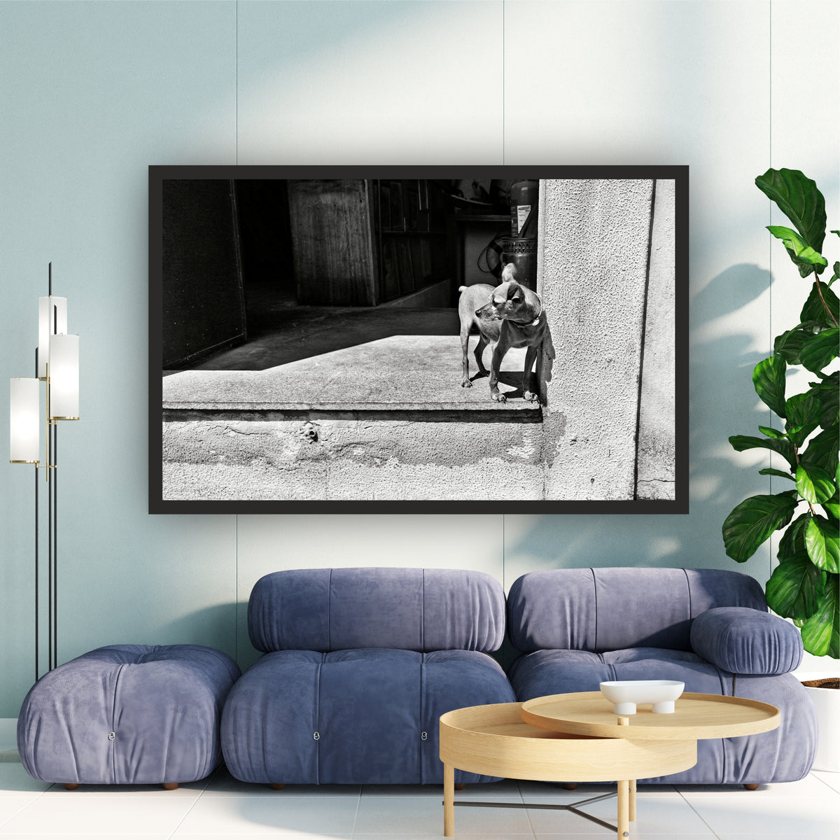 Street Dog Black & White Wall Art | Animal Photography